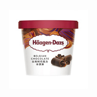 哈根达斯 比利时巧克力冰淇淋 100ml（81g）