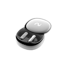 科大讯飞（iFLYTEK） Nano+ （流光银）无线蓝牙耳机 主动降噪 入耳式 超长续航 录音转文字 苹果、安卓通用