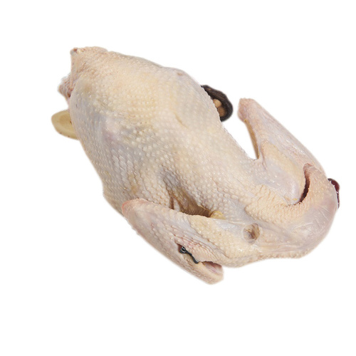 千岛九月鲜 散养六月嫩冷鲜公鸡 1.5kg 热卖价:￥150